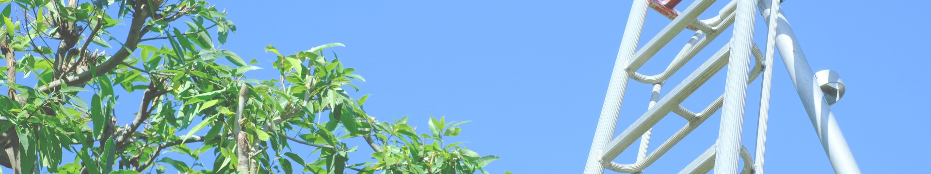 サブビジュアル